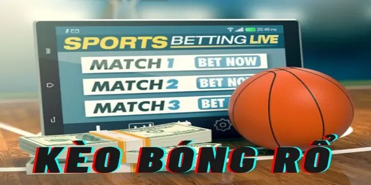 Đột Phá Cá Cược Bóng Rổ 79Win: Bí Quyết Thành Công