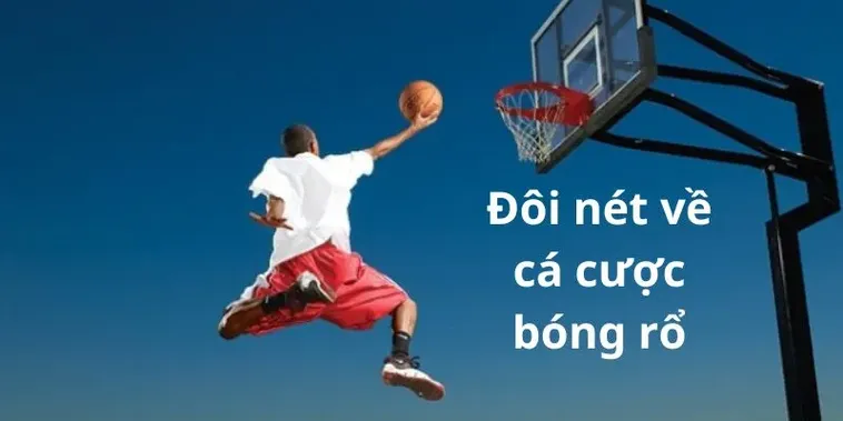 Tìm Hiểu Bóng Rổ EE88: Khám Phá Sức Hút Đặc Biệt